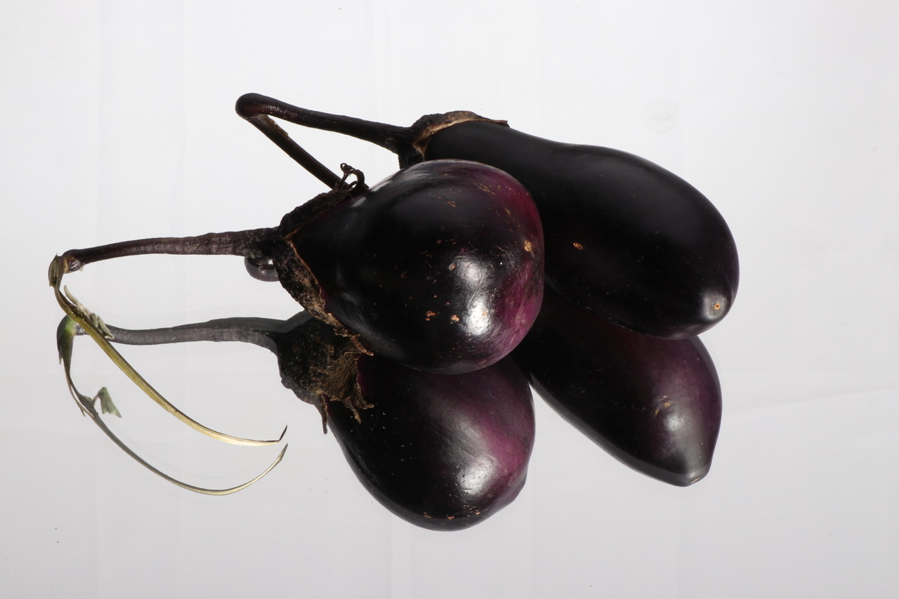 aubergine